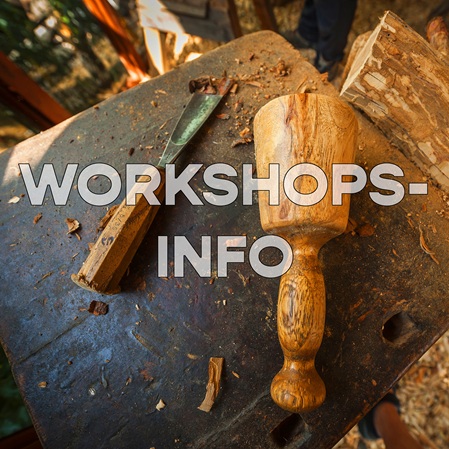 Workshops Info